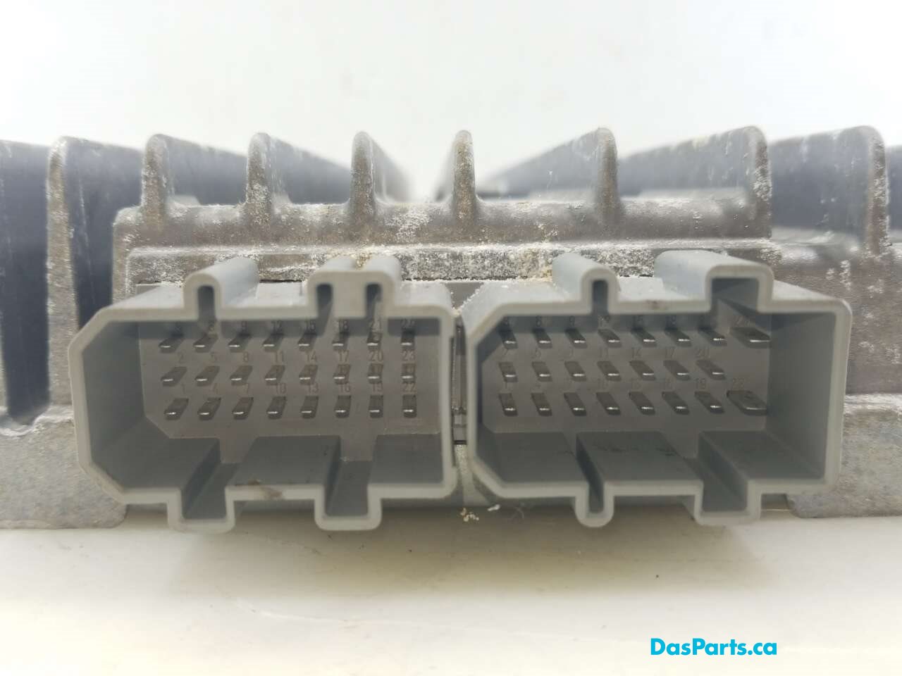 Amplifier OEM