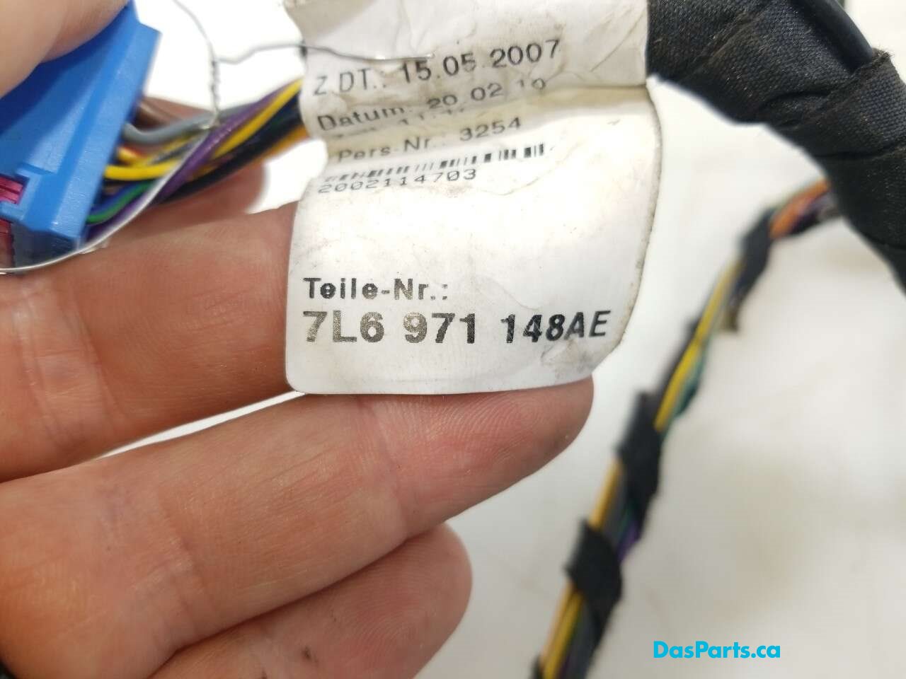 Trunk Harness 2