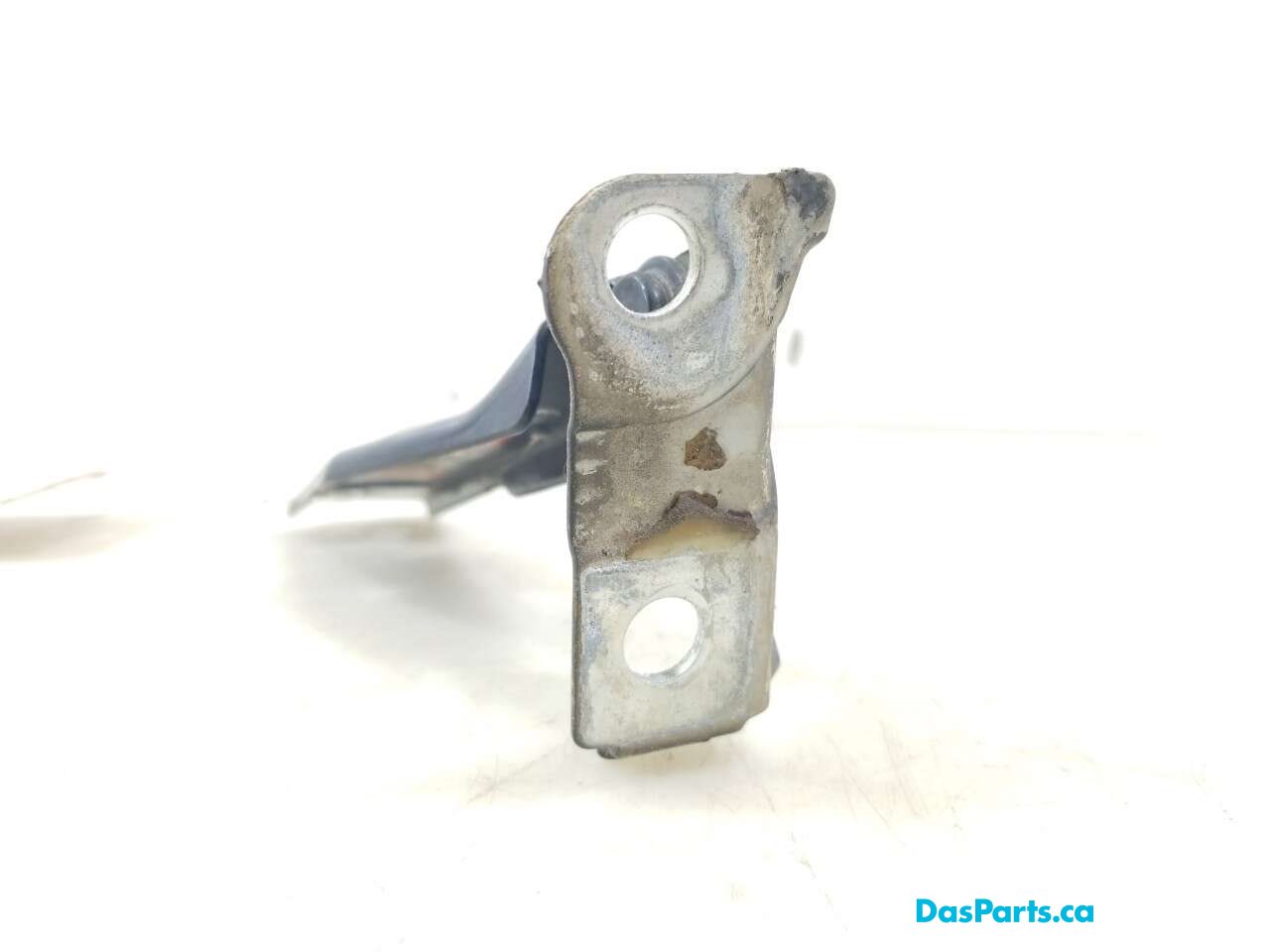 Hood Hinge R