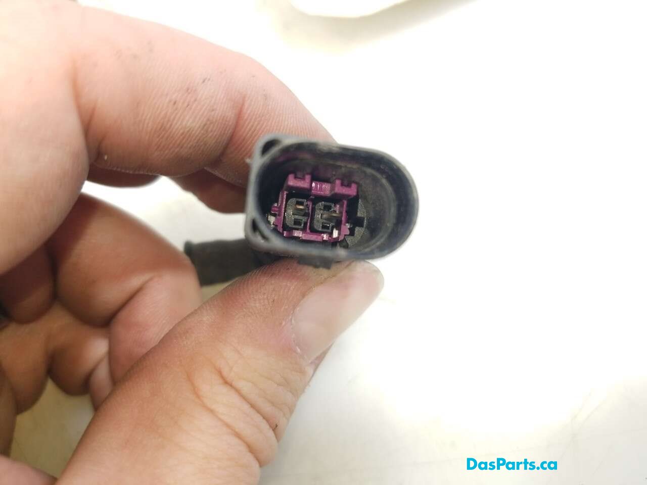 ABS Wiring LF