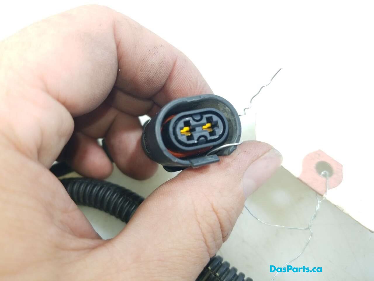 ABS Wiring LF
