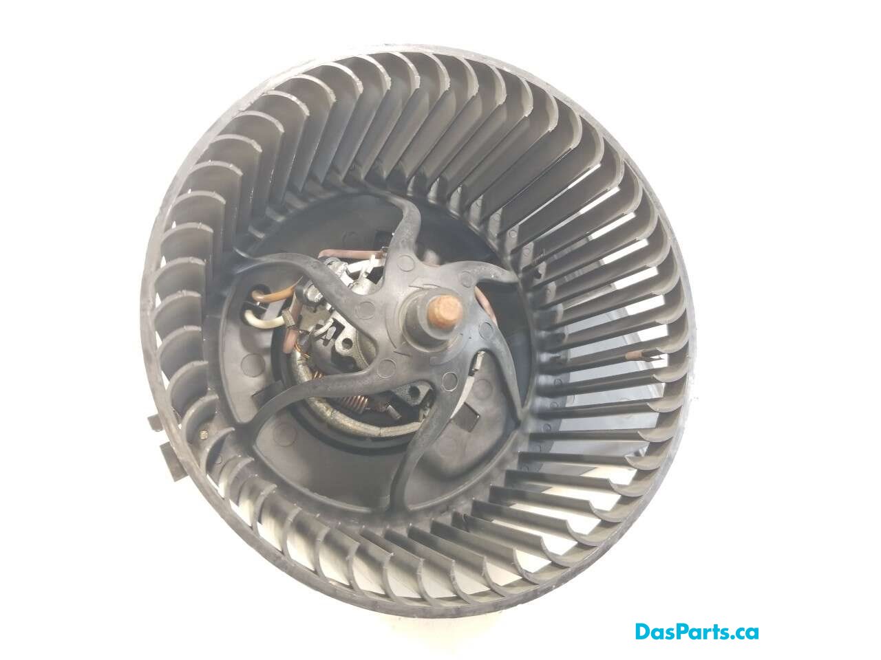 Blower Motor