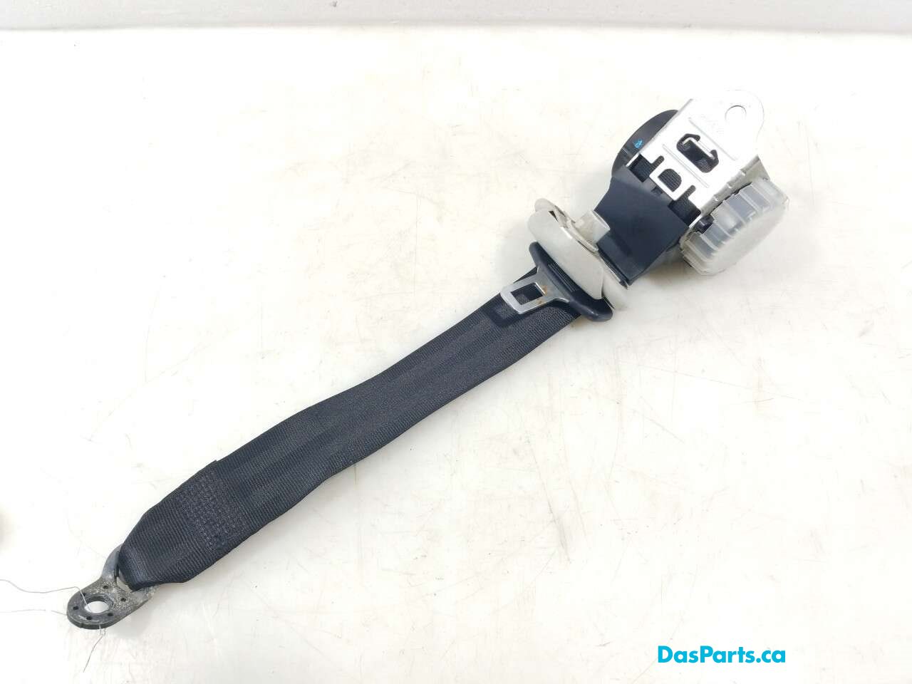 Seat Belt RR