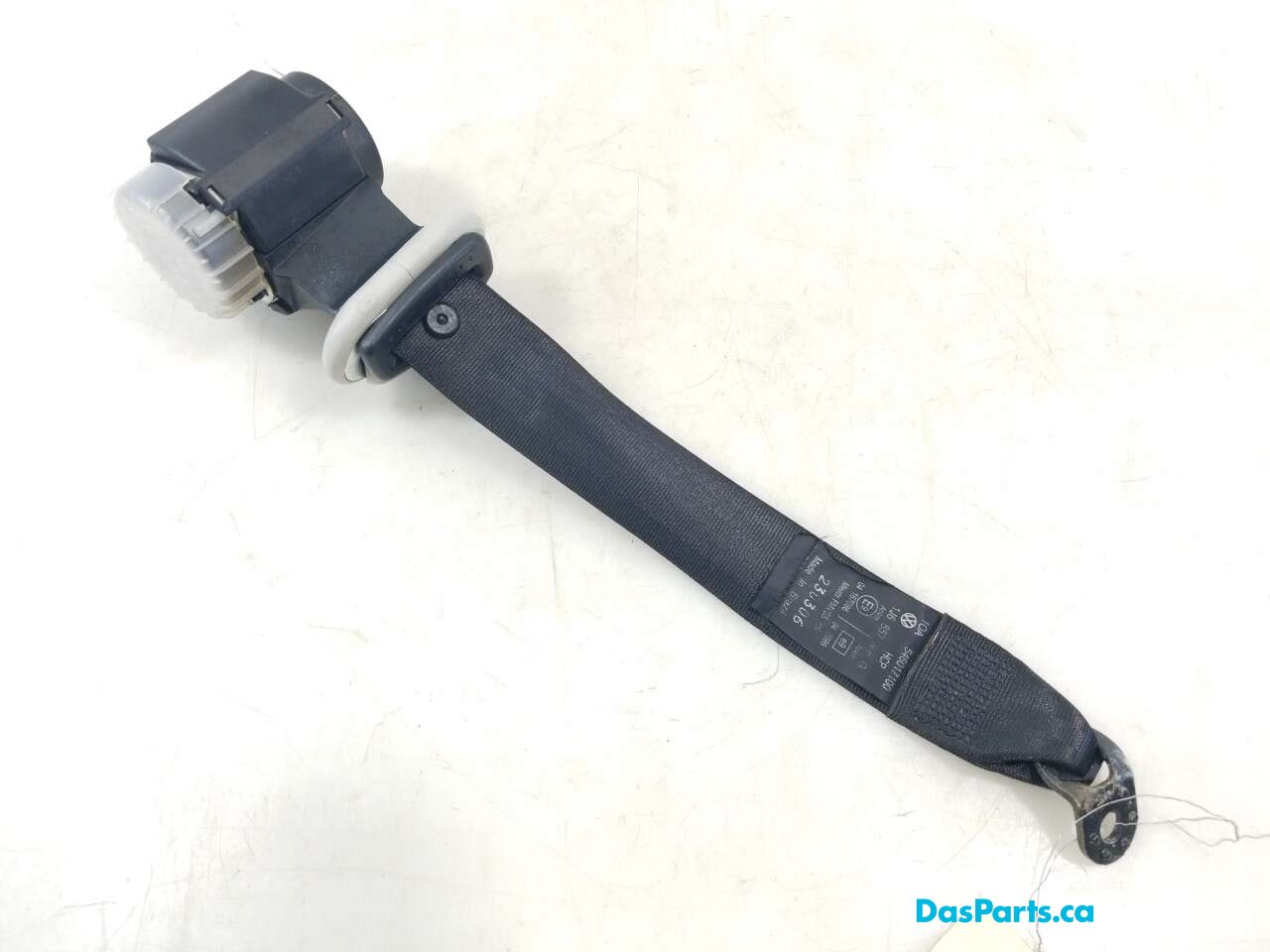 Seat Belt LR