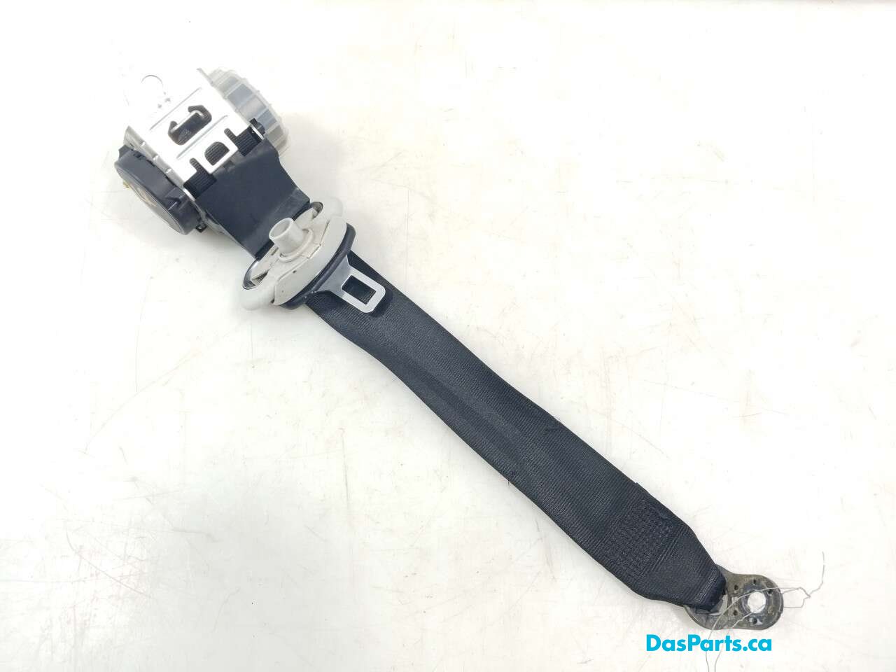 Seat Belt LR