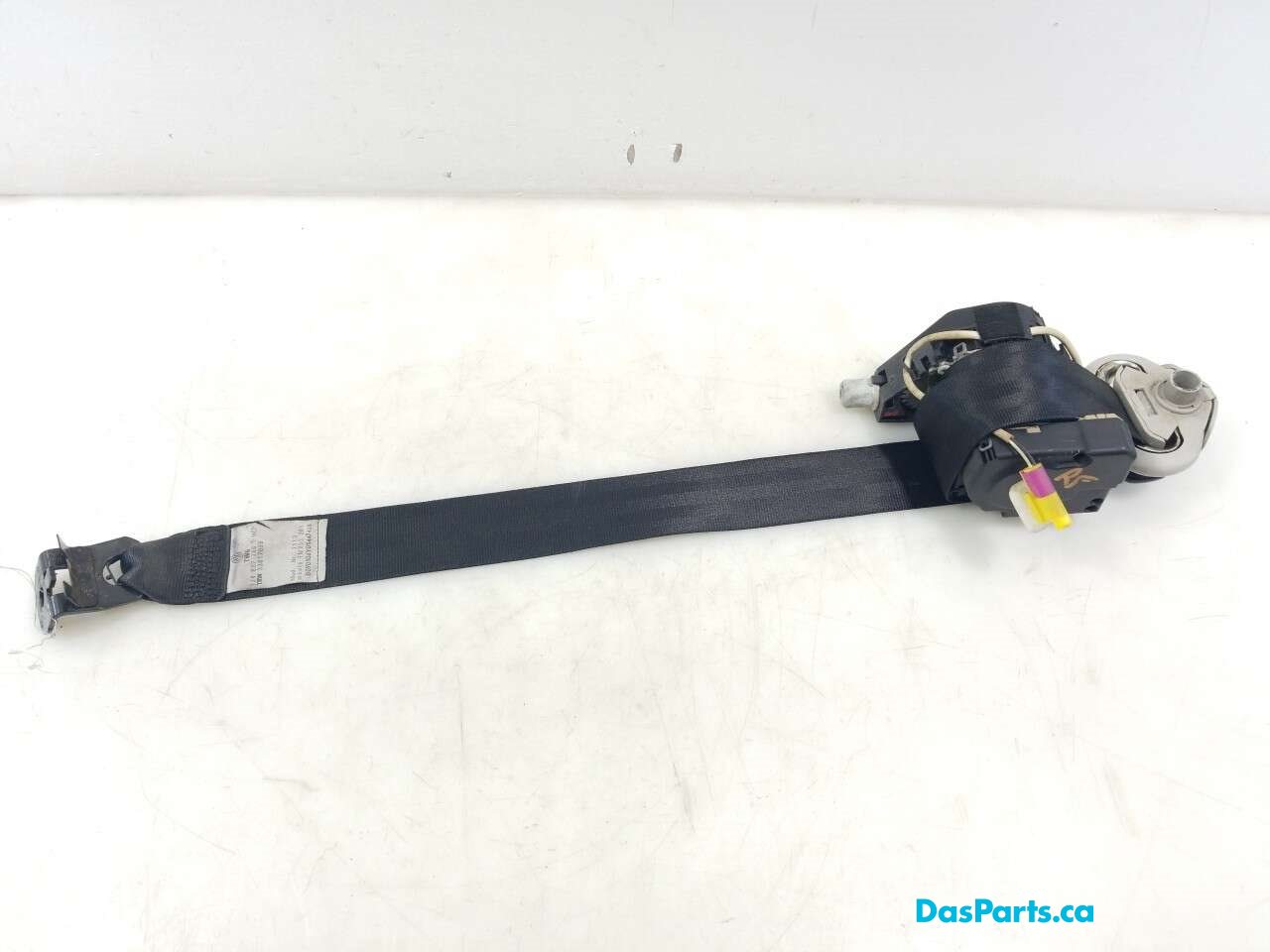 Seat Belt RF