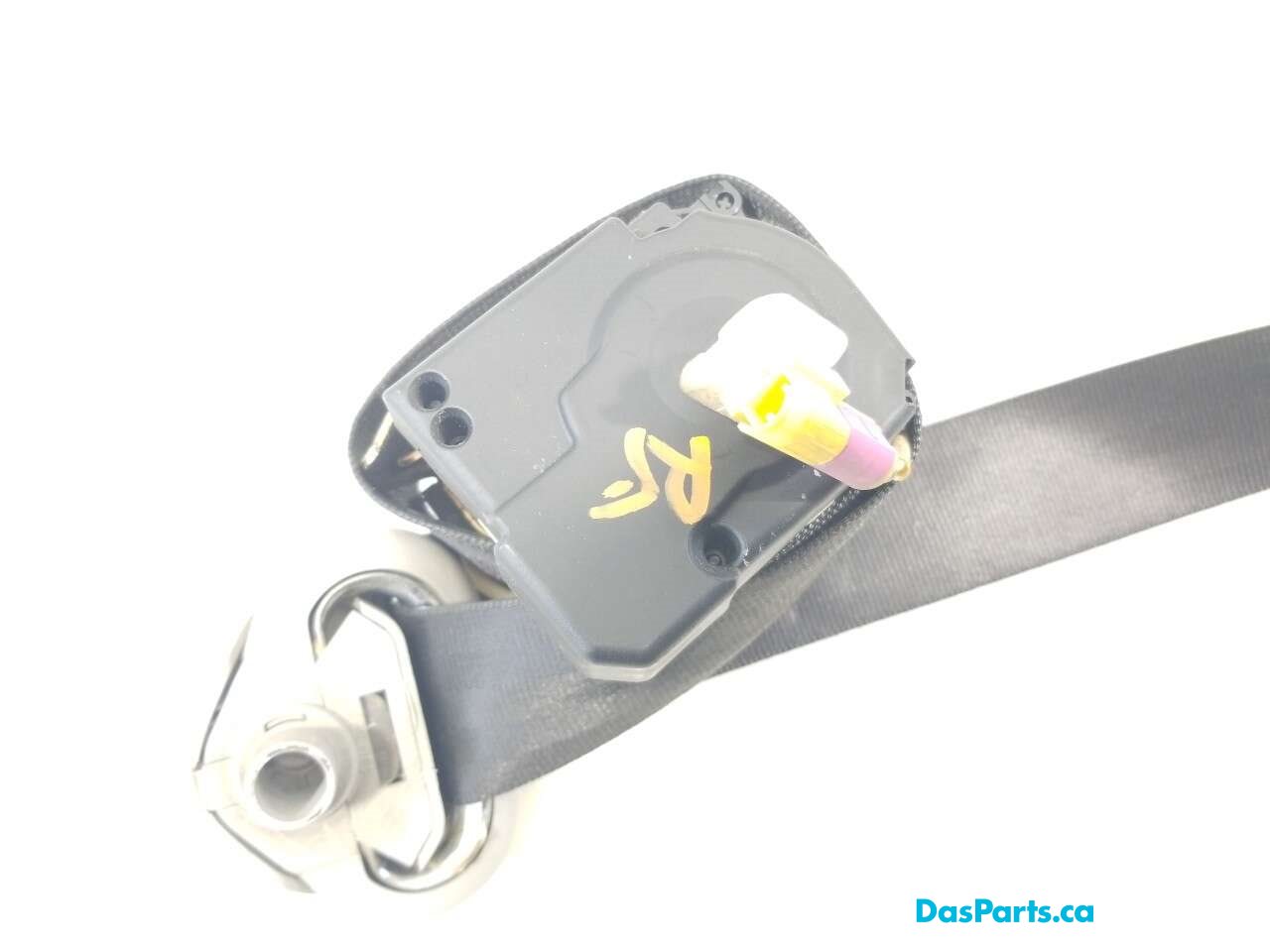 Seat Belt RF