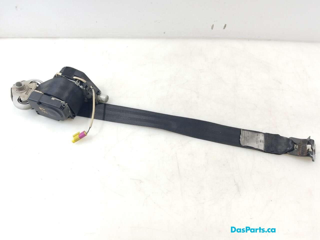Seat Belt LF