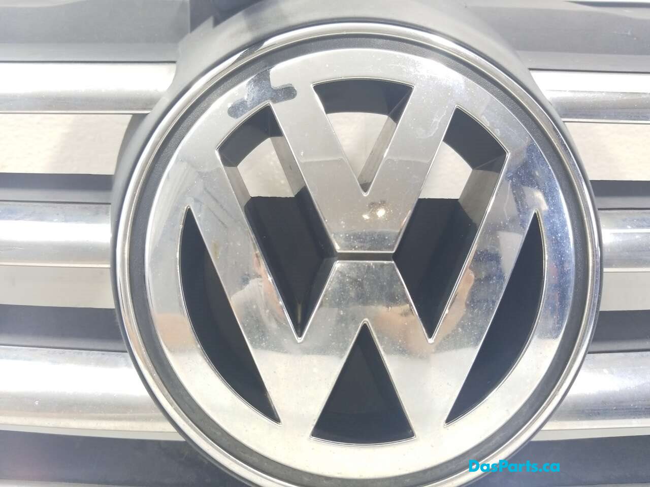 Main Grill