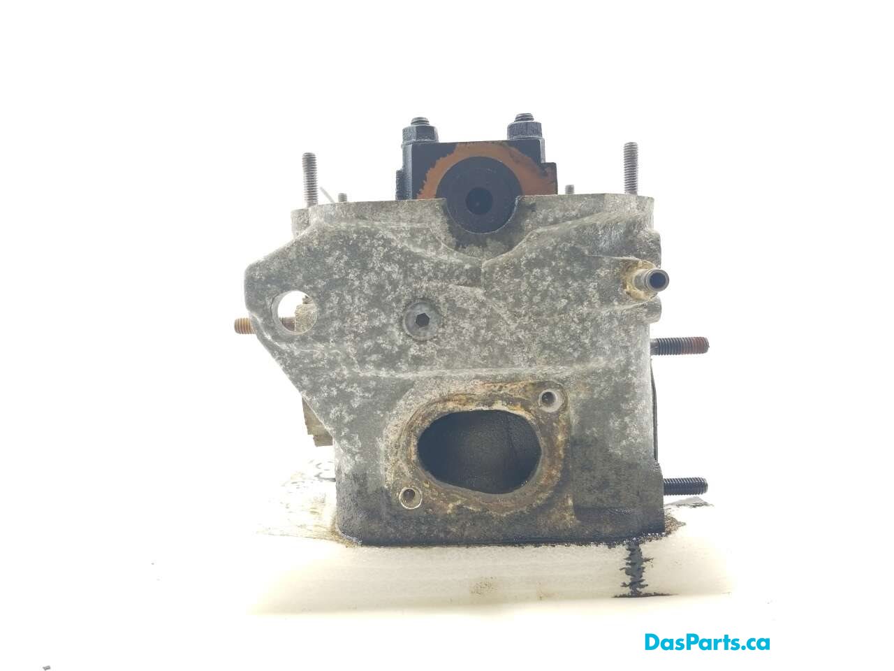 Engine Cylinder Head