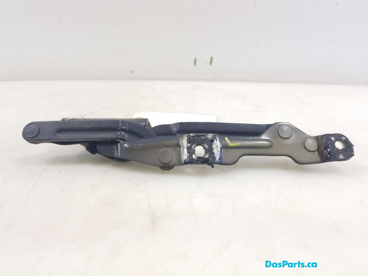 Trunk Hinge L