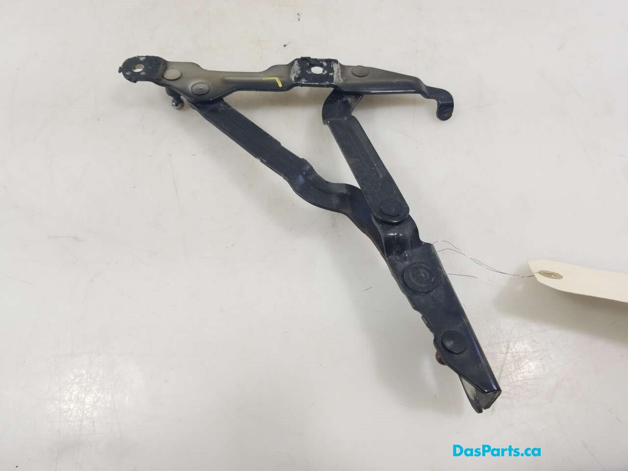 Trunk Hinge L