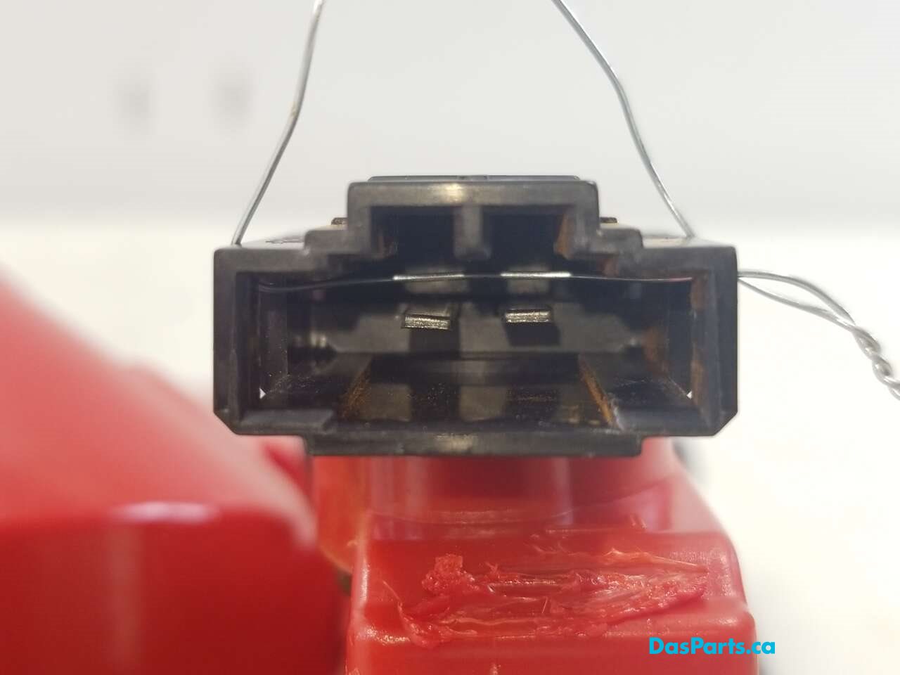Taillight Inner LR