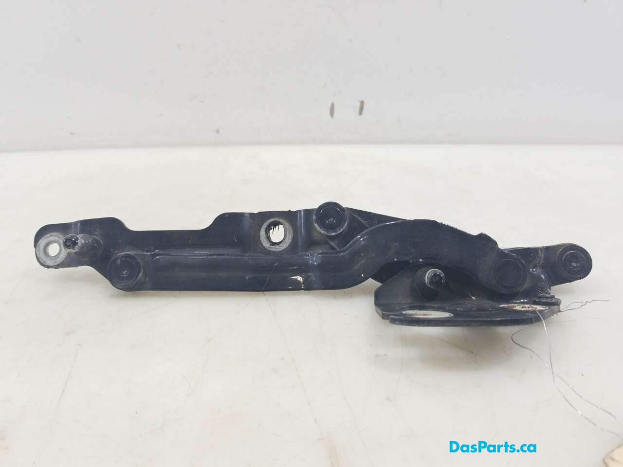 Trunk Hinge R