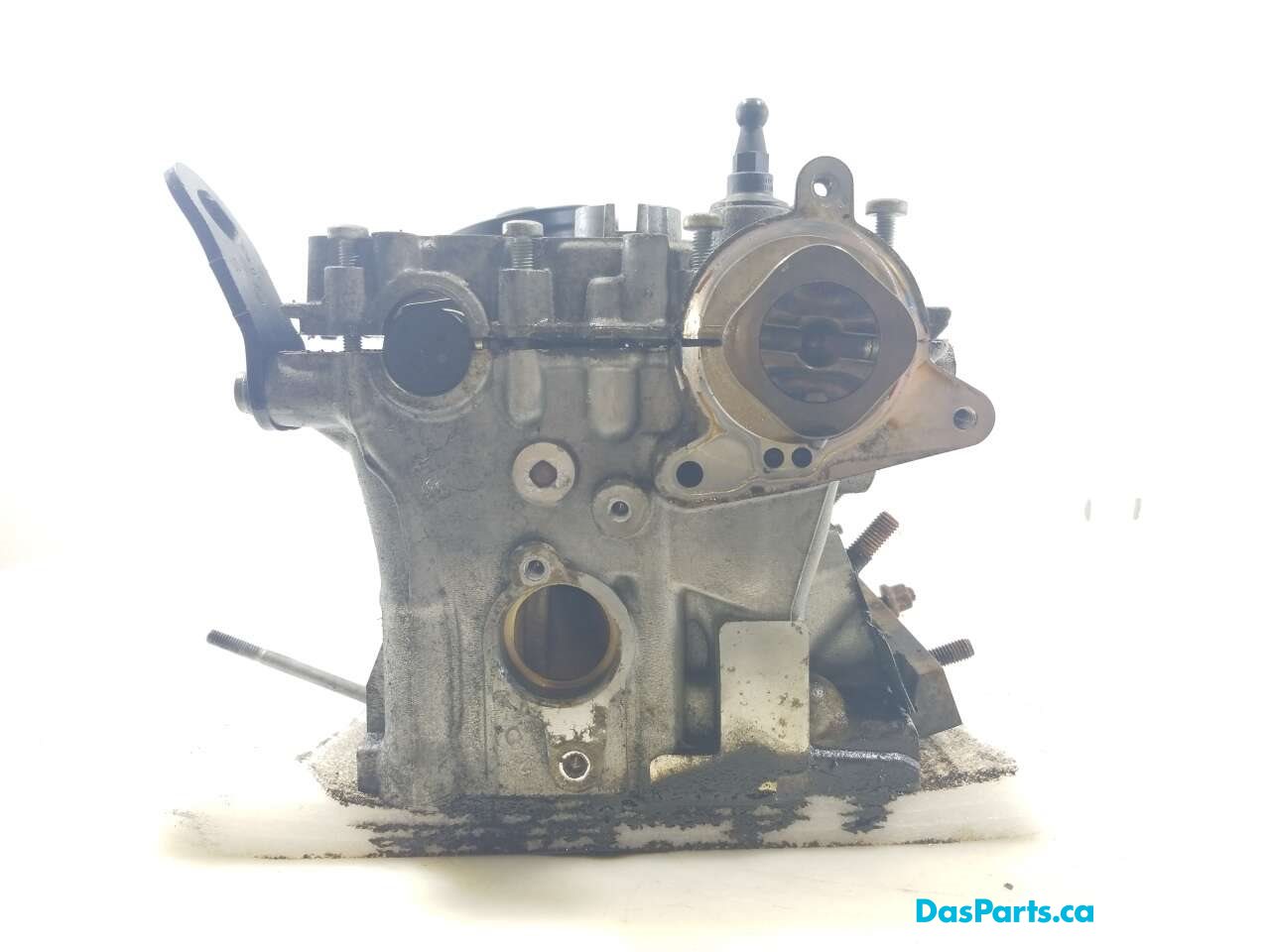 Engine Cylinder Head
