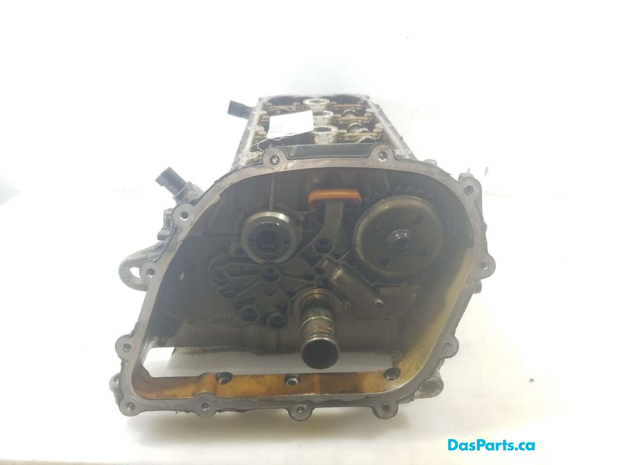 Engine Cylinder Head