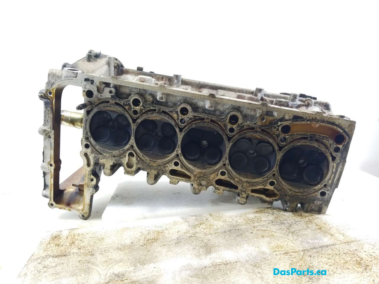 Engine Cylinder Head