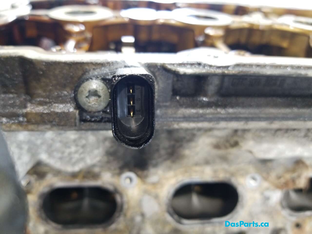 Engine Cylinder Head