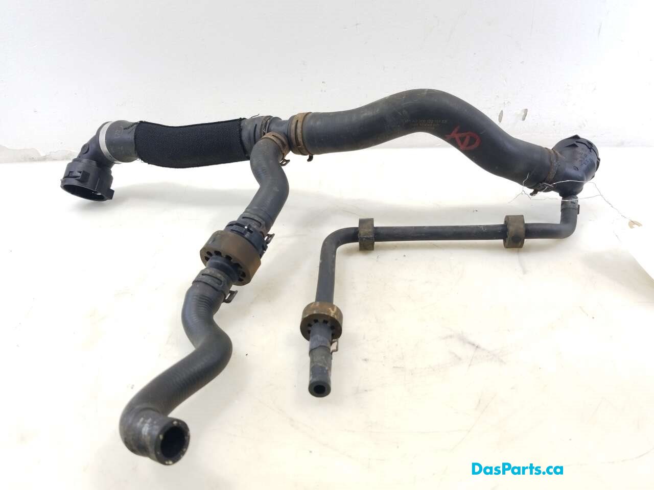 Upper Rad Hose
