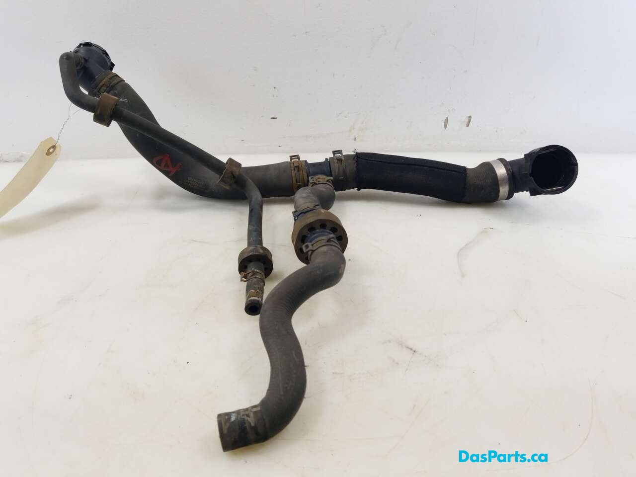 Upper Rad Hose