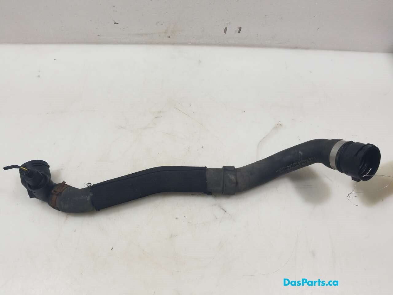 Lower Rad Hose