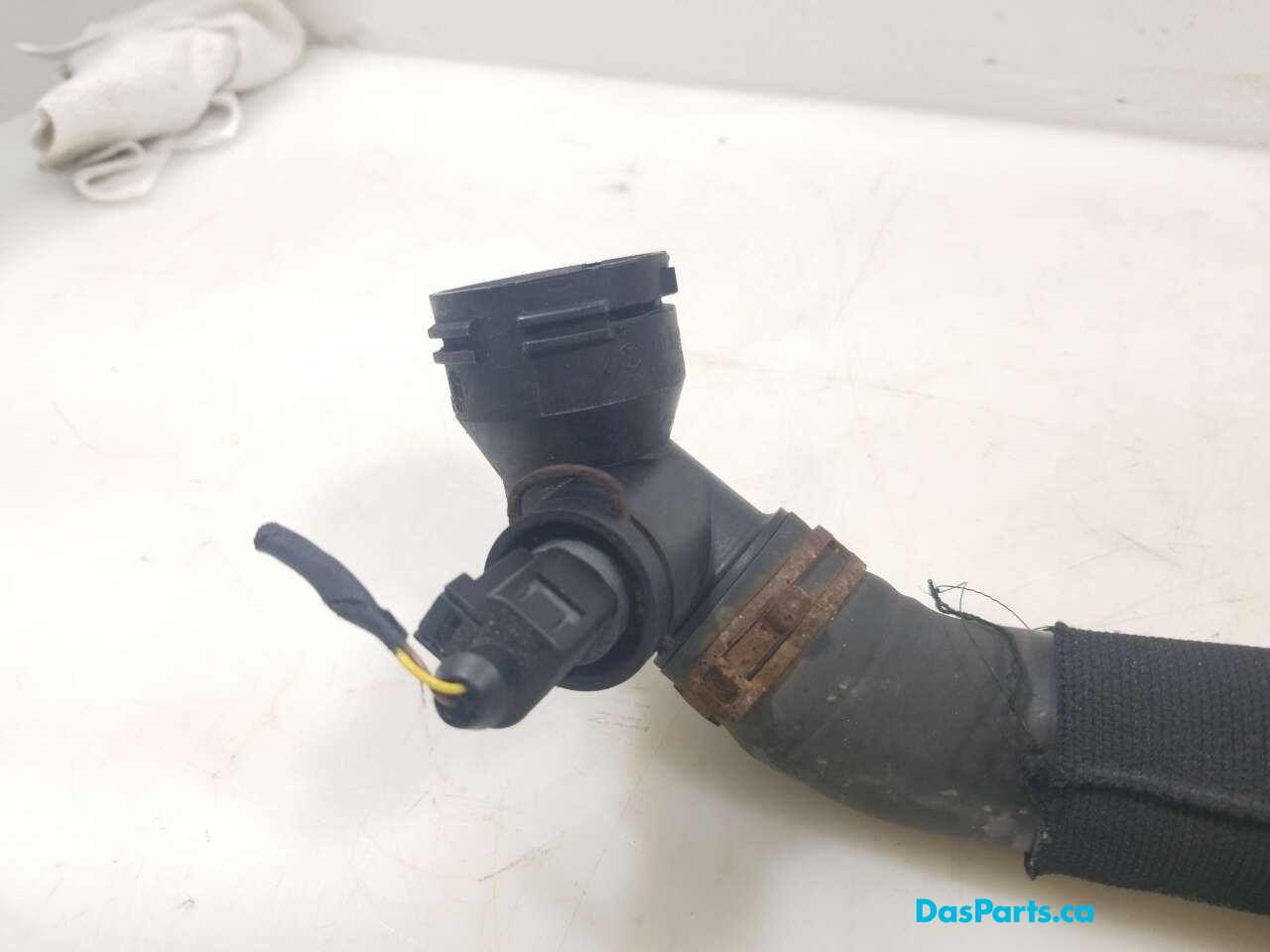 Lower Rad Hose