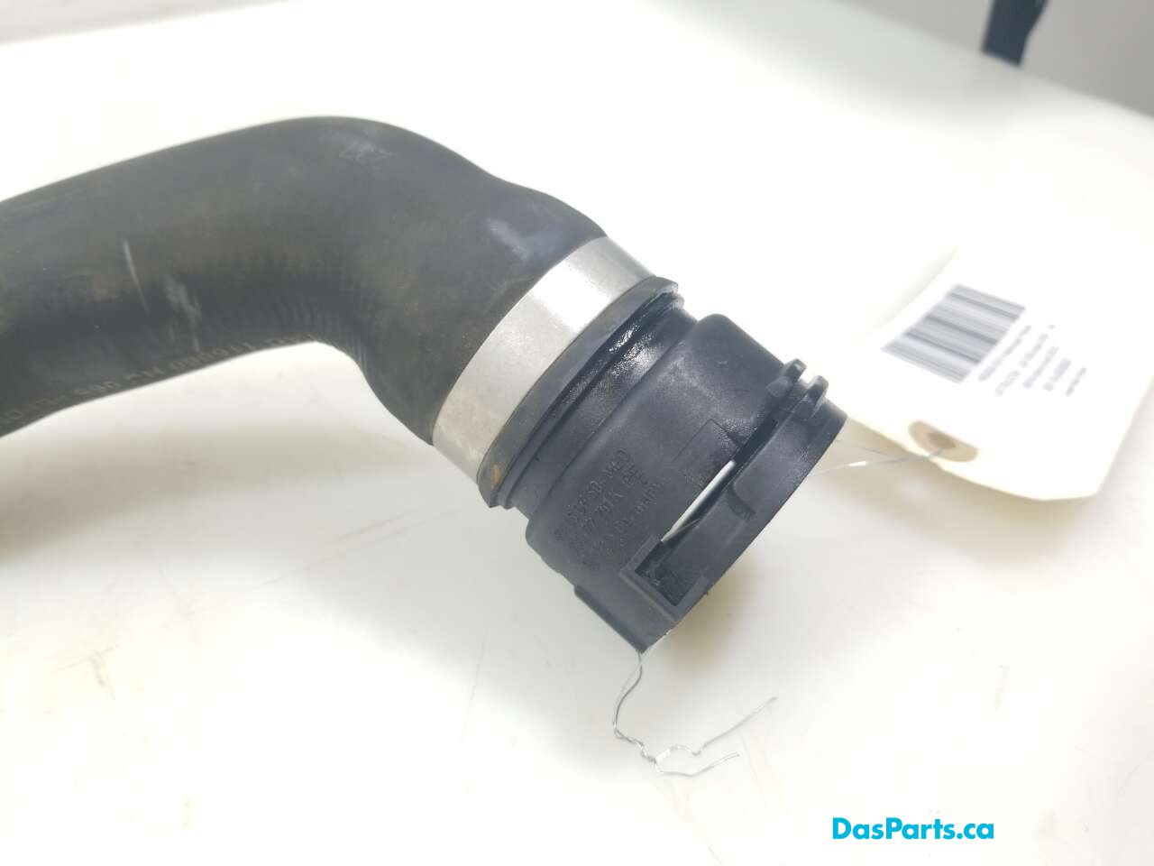 Lower Rad Hose
