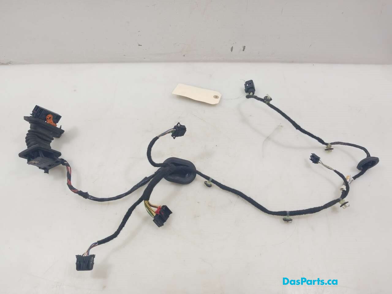 Door Harness RR 1