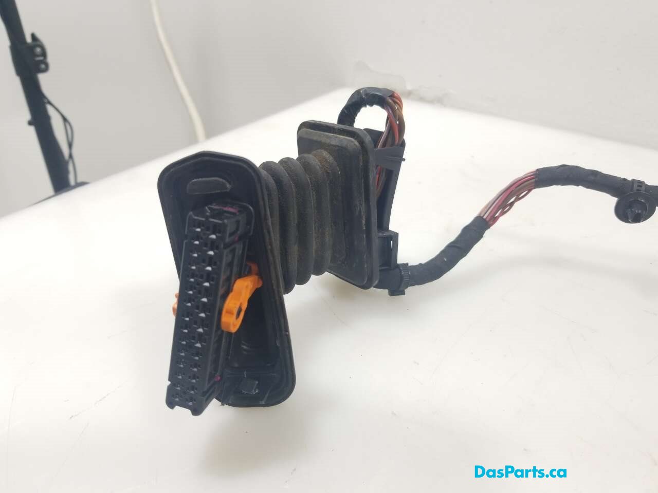 Door Harness LF 1