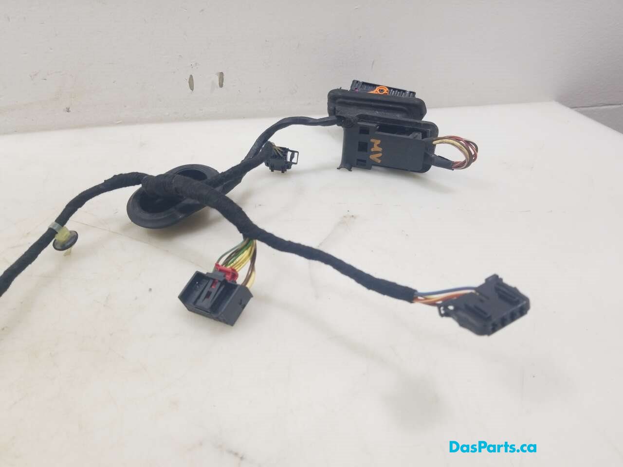Door Harness LR 1