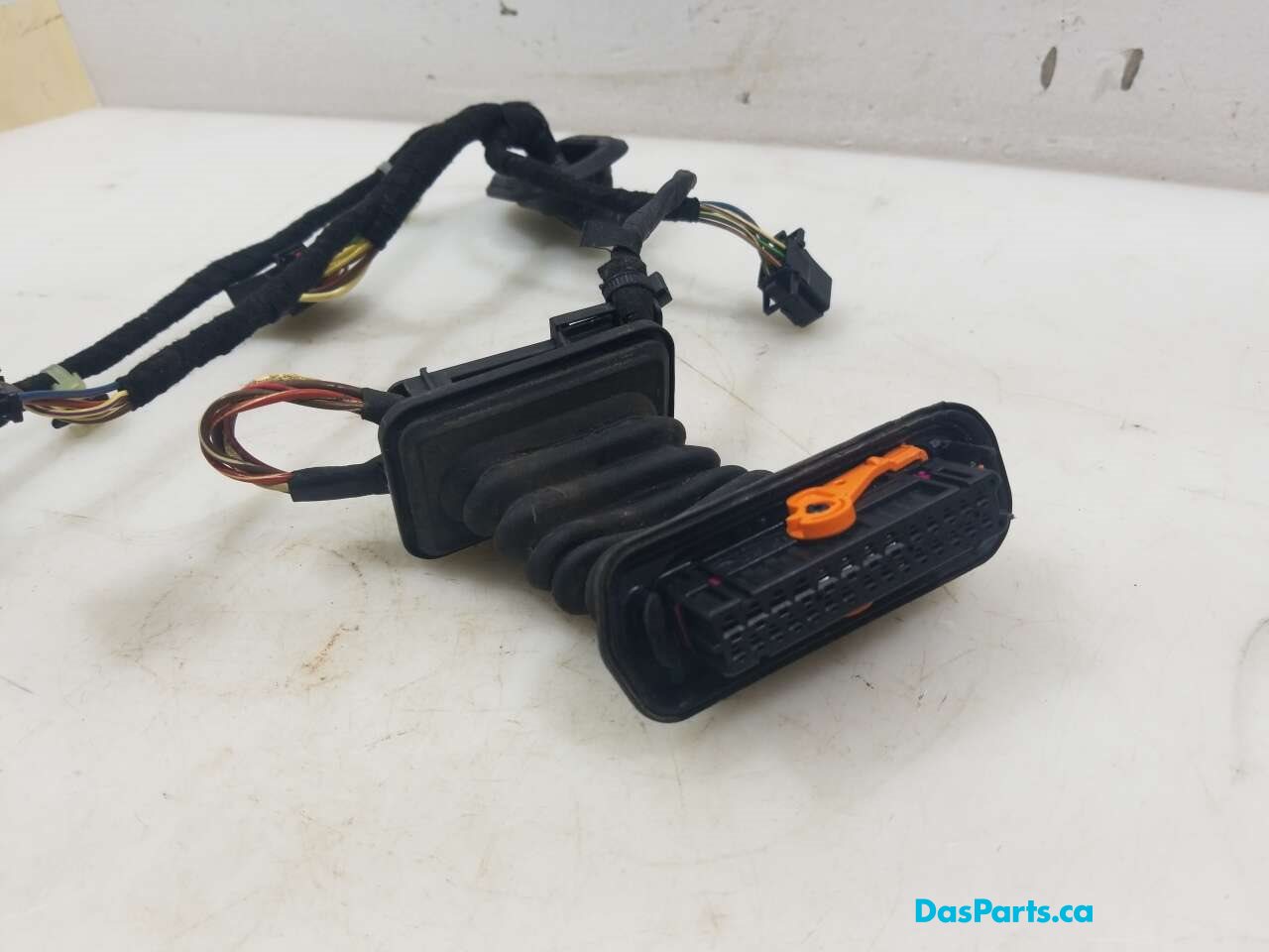 Door Harness LR 1