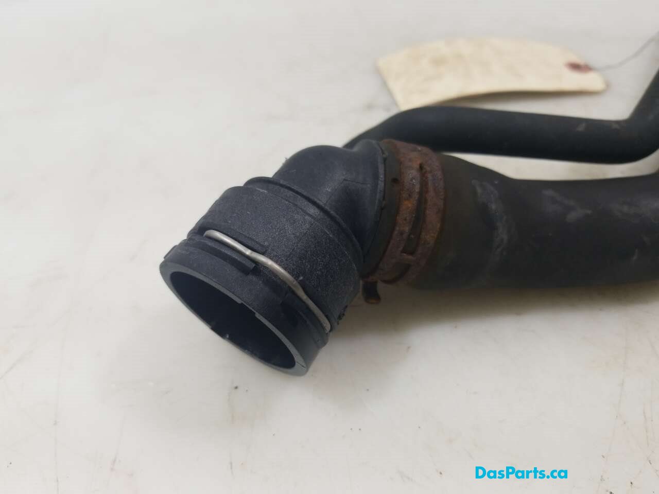 Upper Rad Hose