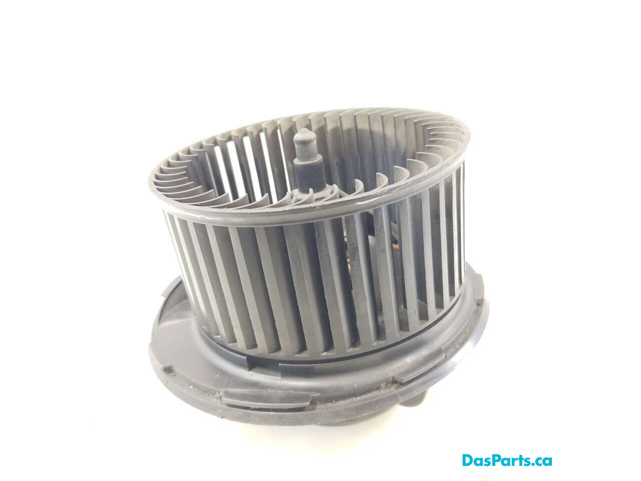 Blower Motor