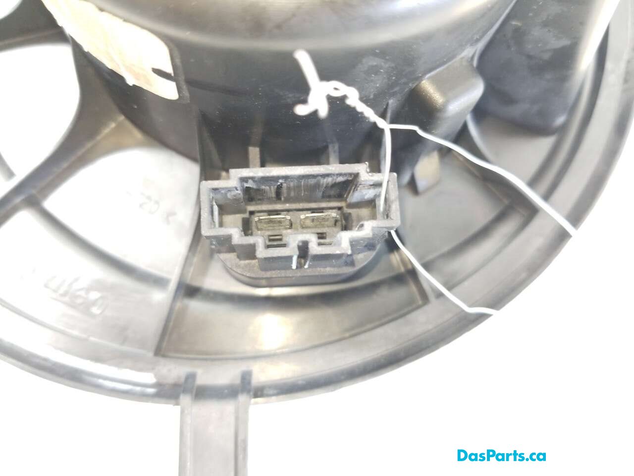 Blower Motor