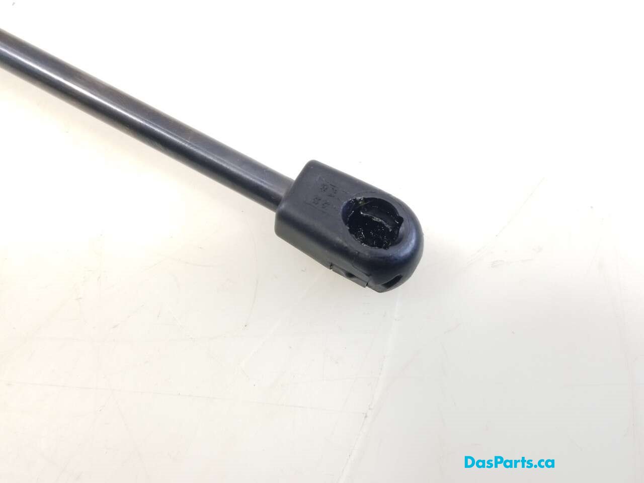 Trunk/Hatch Strut 1