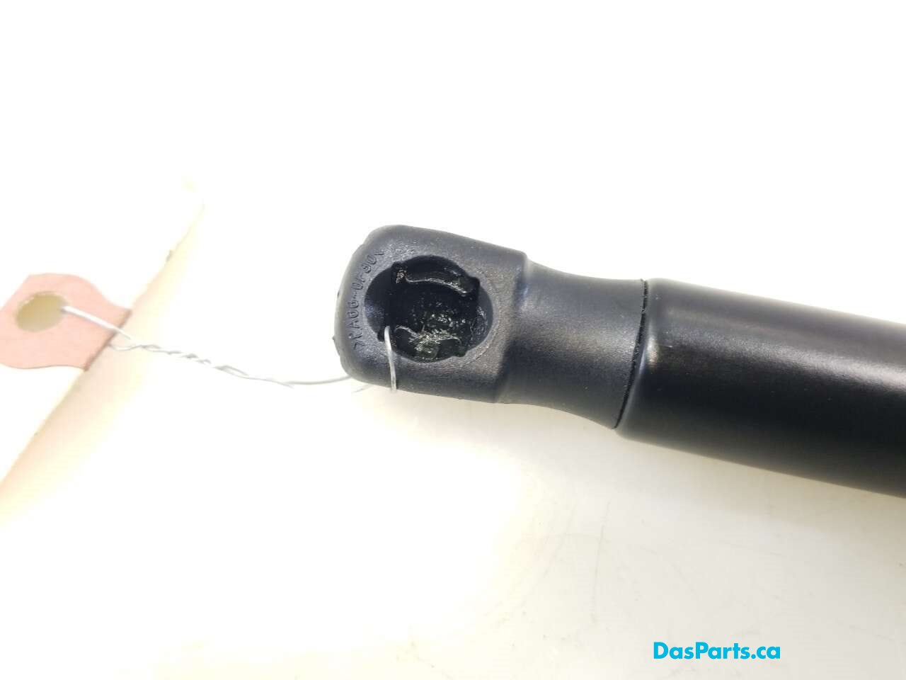 Trunk/Hatch Strut 1