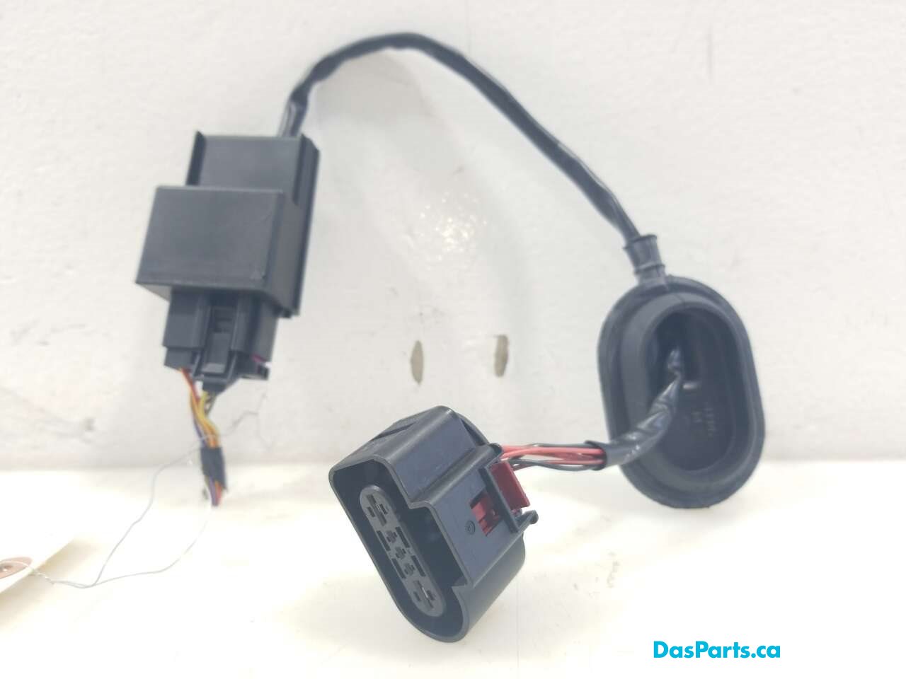 Fuel Pump Module