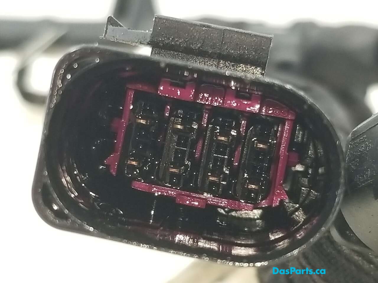 Injector Harness