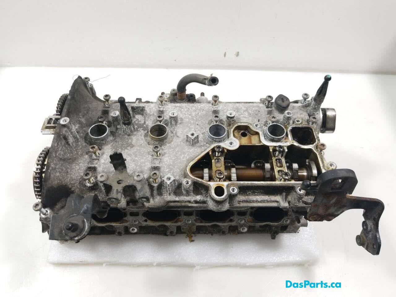 Engine Cylinder Head