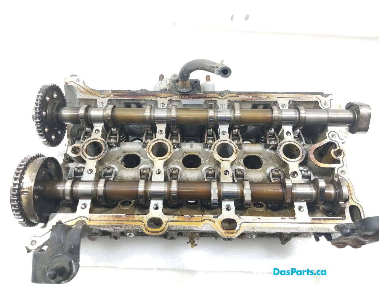 Engine Cylinder Head