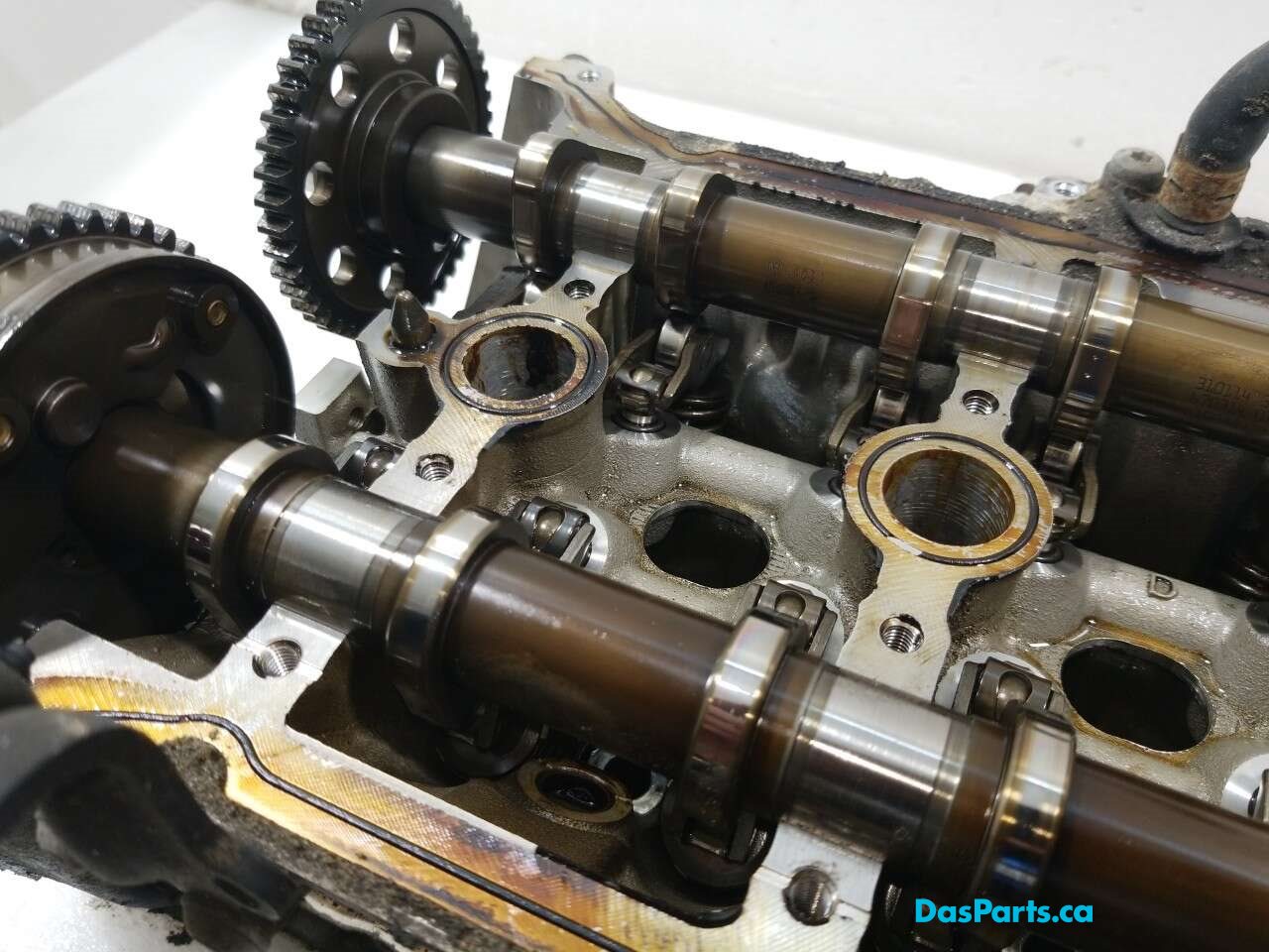 Engine Cylinder Head
