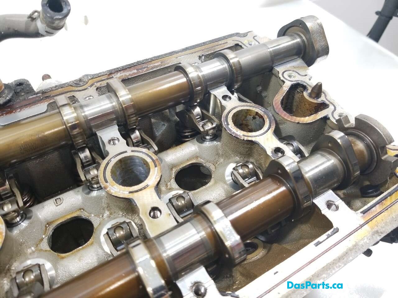 Engine Cylinder Head