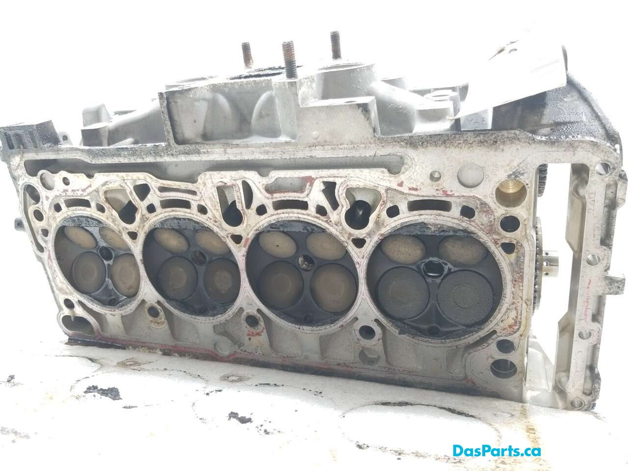 Engine Cylinder Head