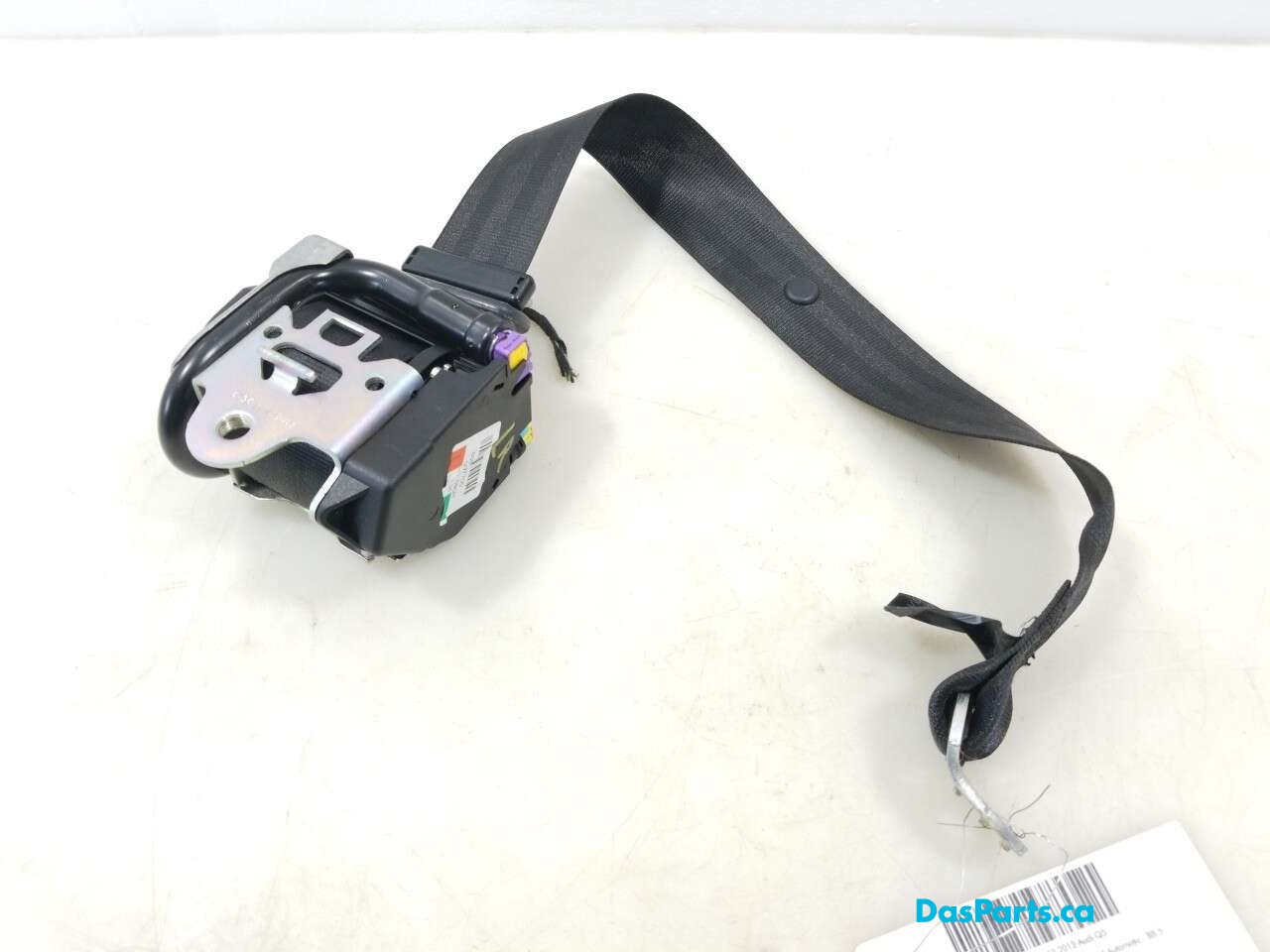 Seat Belt LR