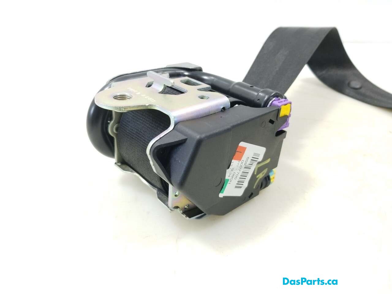 Seat Belt LR