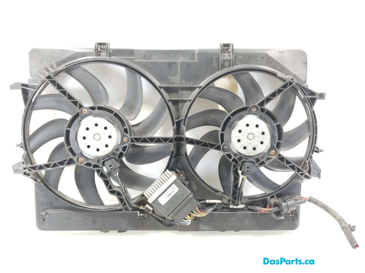 Rad Fan Assembly