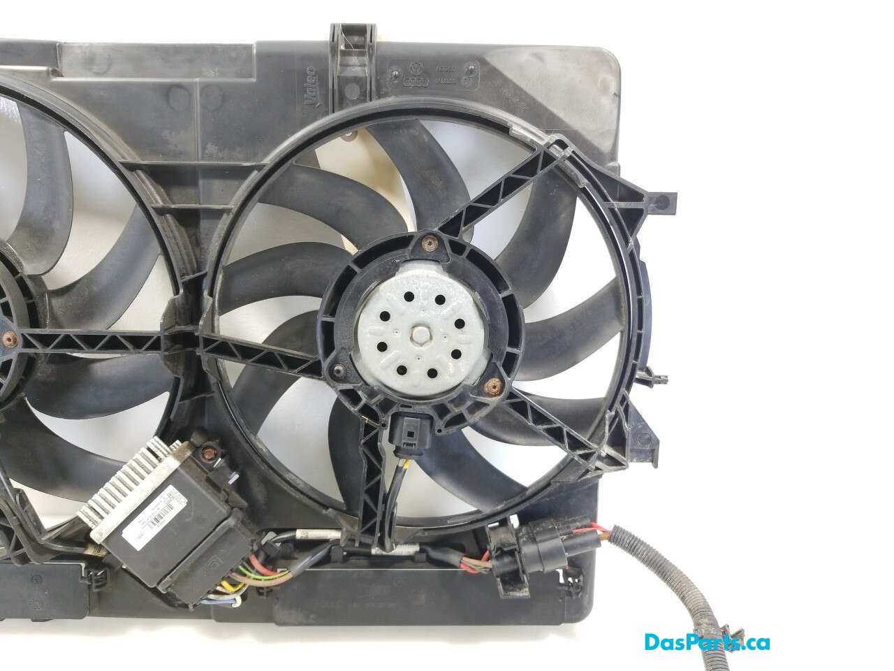 Rad Fan Assembly