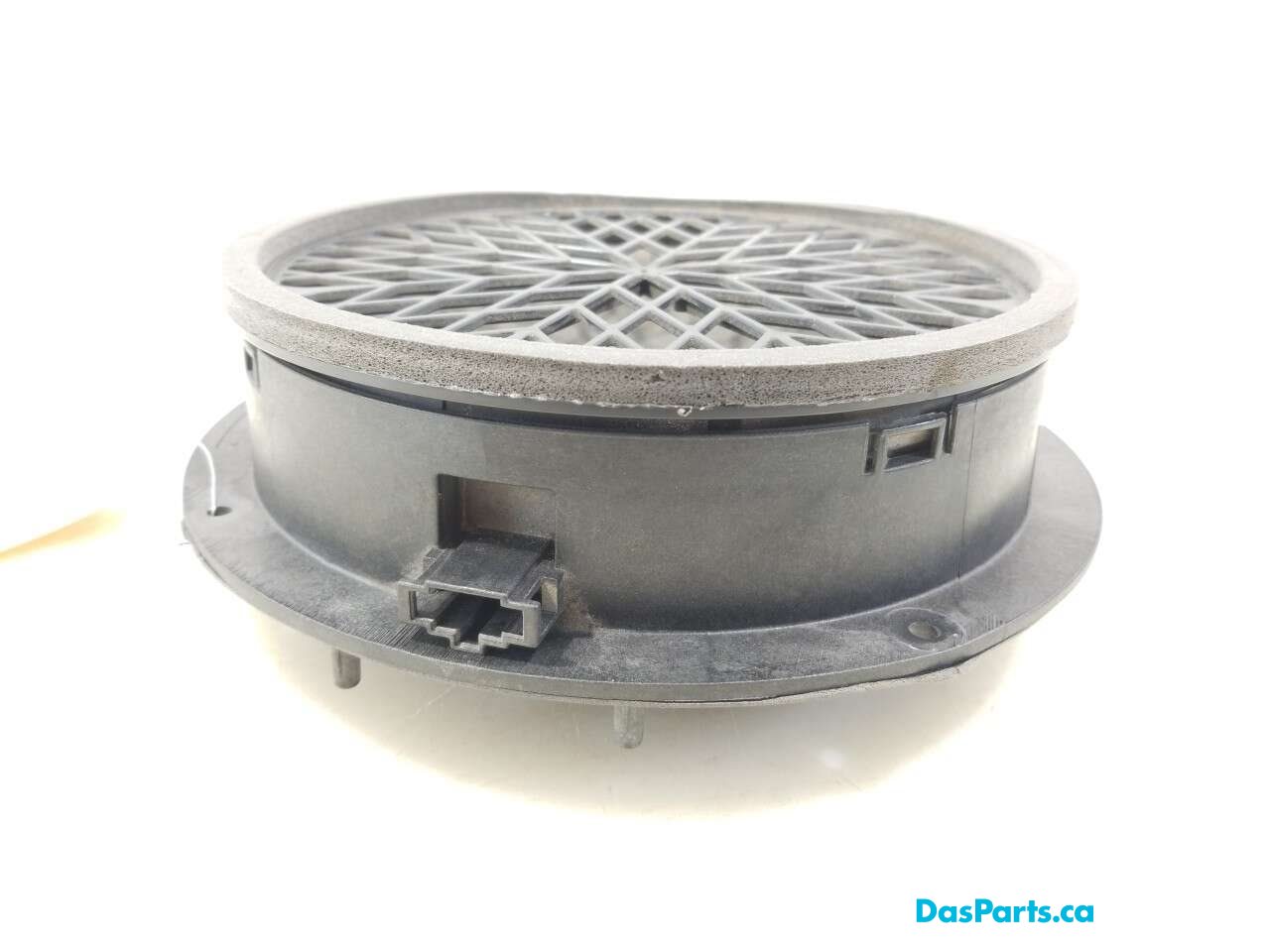 Speaker RF