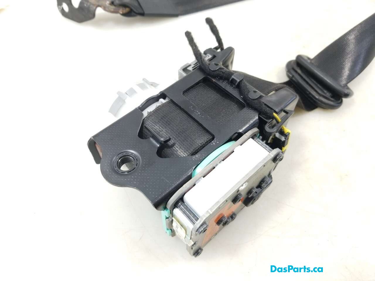 Seat Belt LF