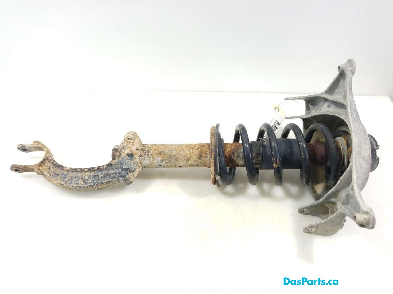 Strut Assembly LF